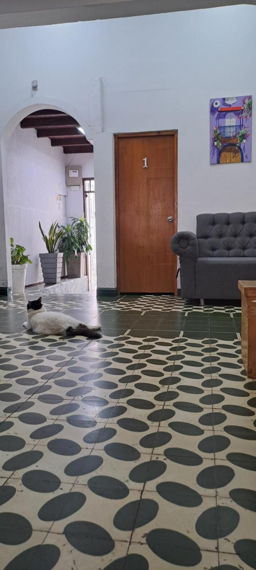Hostal Casa Lara Cartagena Екстер'єр фото